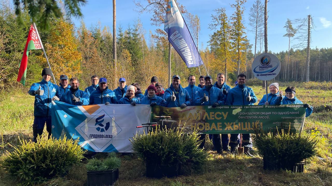 Сотрудники