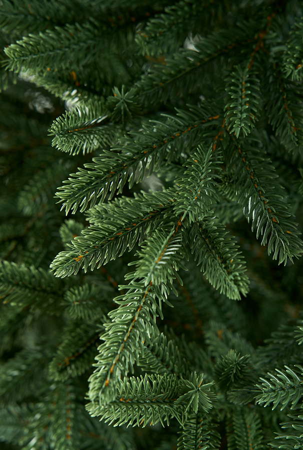 С 20 декабря в Сморгонском и Ошмянском районах начнут работу елочные базары. Сморгонский опытный лесхоз планирует реализовать около 3,5 тысяч новогодних деревьев. Традиционно на базарах будут представлены ели, сосны, ели в контейнерах и новогодние букеты.