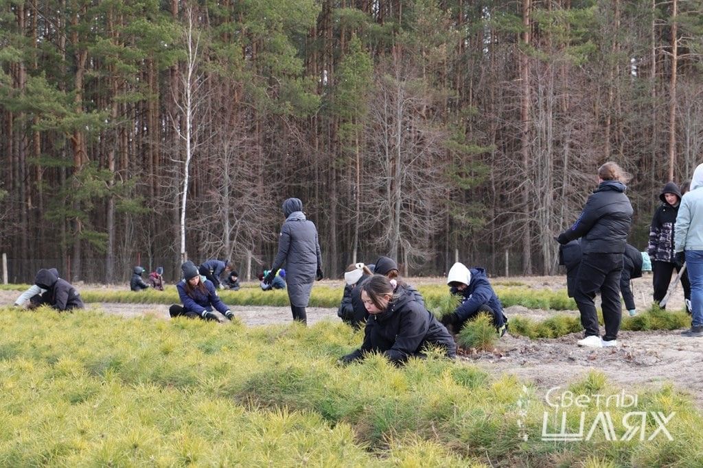 В районе работают экологические студенческие отряды