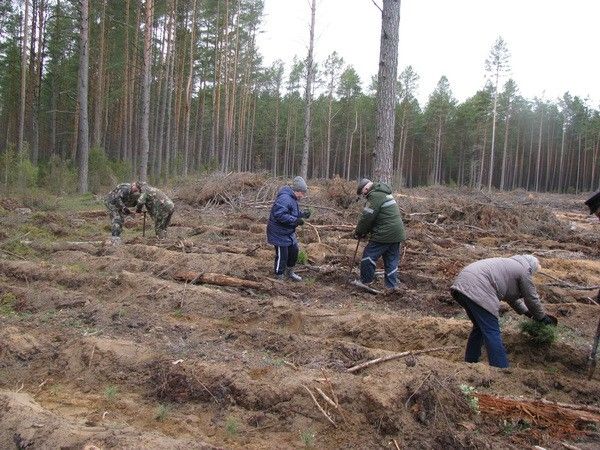 ПЕРЕЧЕНЬ ОБЪЕКТОВ Неделя леса