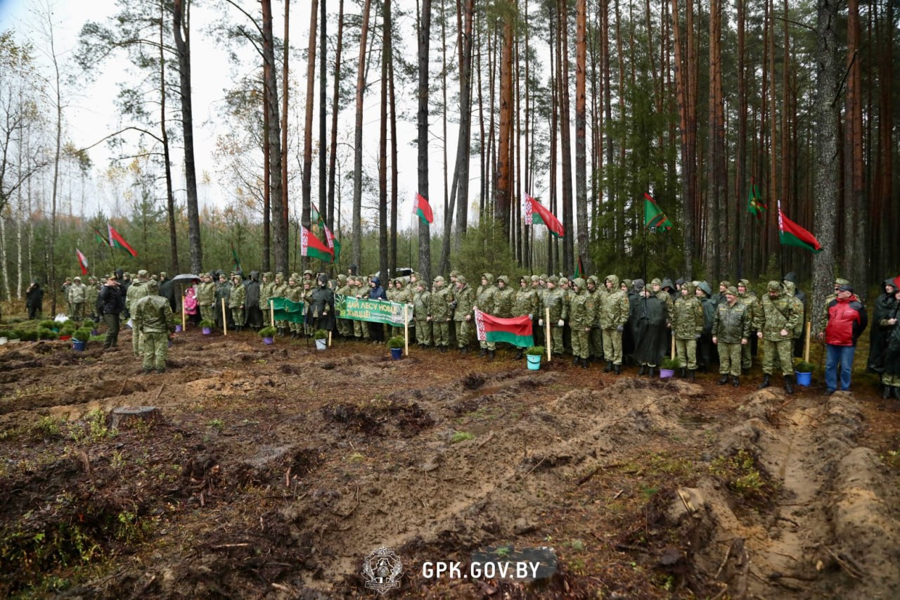 Сегодня, 25 октября, более 70 офицеров Госпогранкомитета во главе с руководителем ведомства занимались посадкой деревьев на территории Сморгонского лесного хозяйства.
