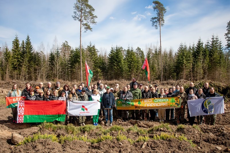  В пятницу, 10 апреля, к акции присоединились и подали пример другим руководители структурных подразделений райисполкома во главе с председателем Андреем Гордеем, а также лидеры общественных объединений и другие участники. В лесном массиве недалеко от деревни Гаути высадили ель и сосну.