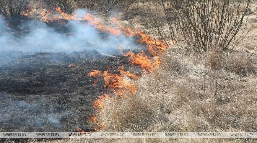 В МИНПРИРОДЫ НАПОМНИЛИ О ЗАПРЕТЕ НА ВЫЖИГАНИЕ СУХОЙ РАСТИТЕЛЬНОСТИ И СЕЛЬХОЗПАЛЫ