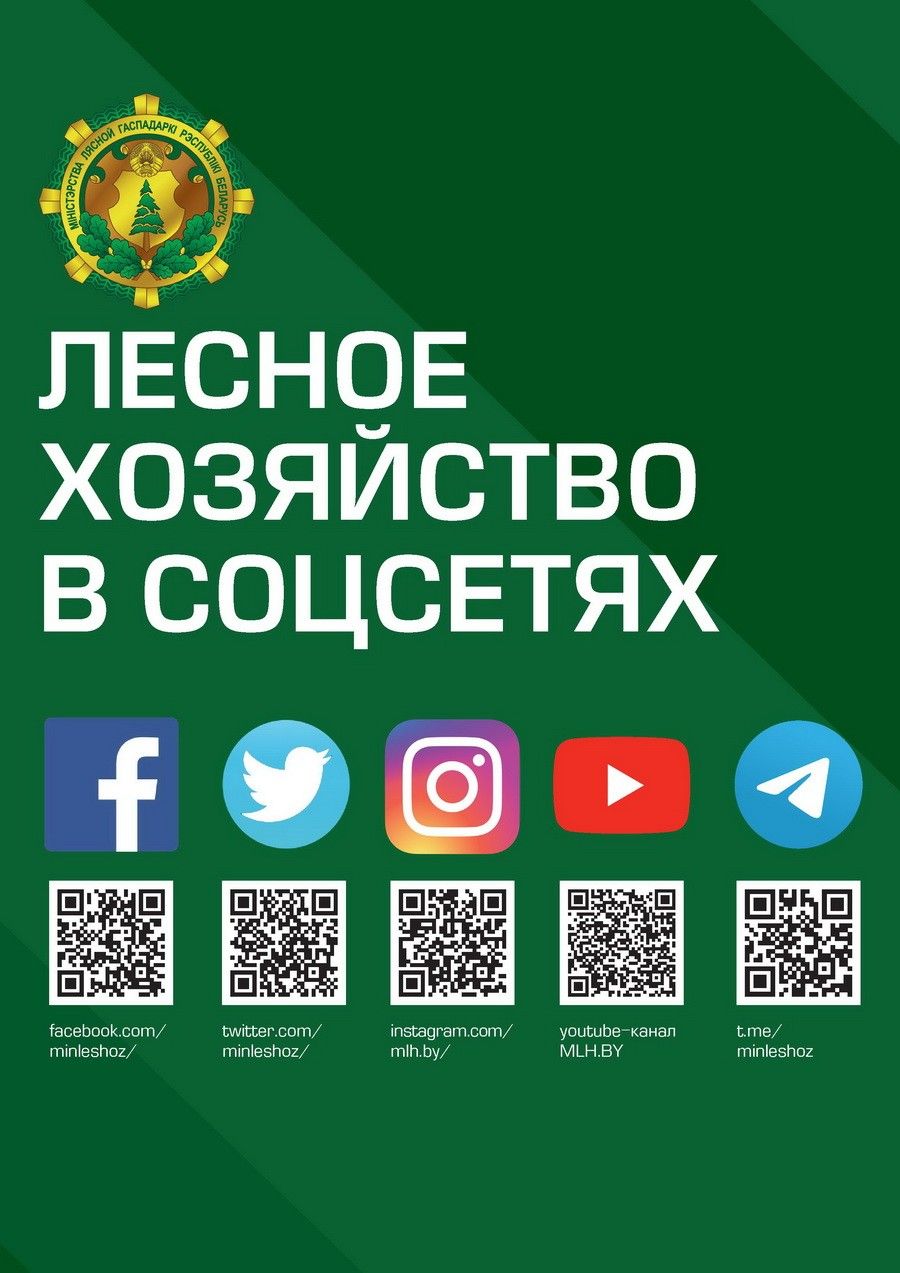 Лесное хозяйство в соцсетях с QR-кодами