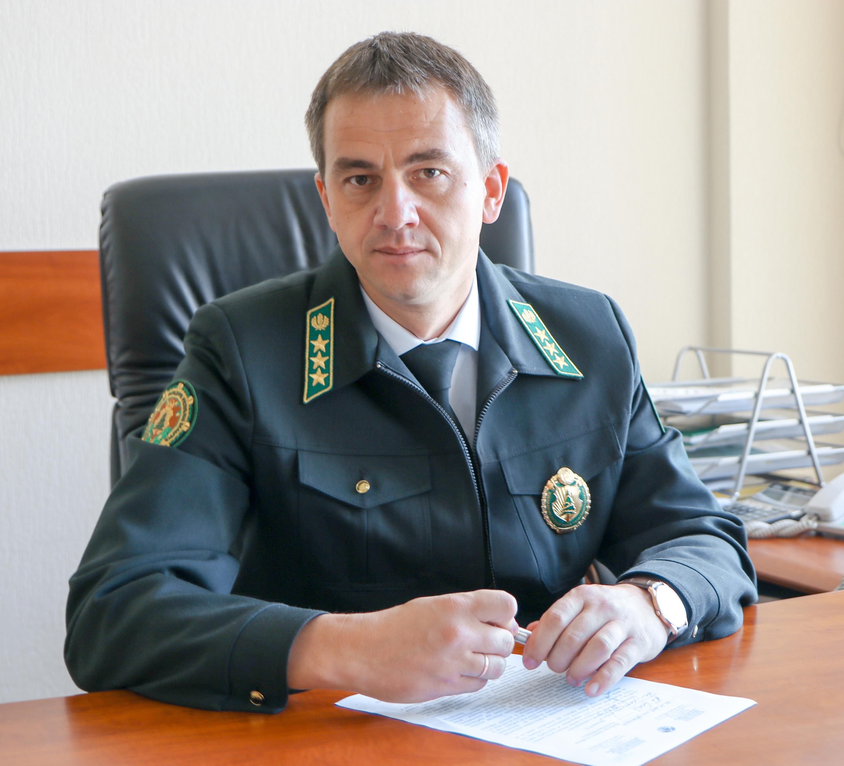 Владимир Креч: Правила реализации древесины могут вскоре быть обновлены