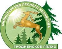11 лесхозов Гродненского ГПЛХО приступили к заготовке ветровальной древесины в Могилёвской области