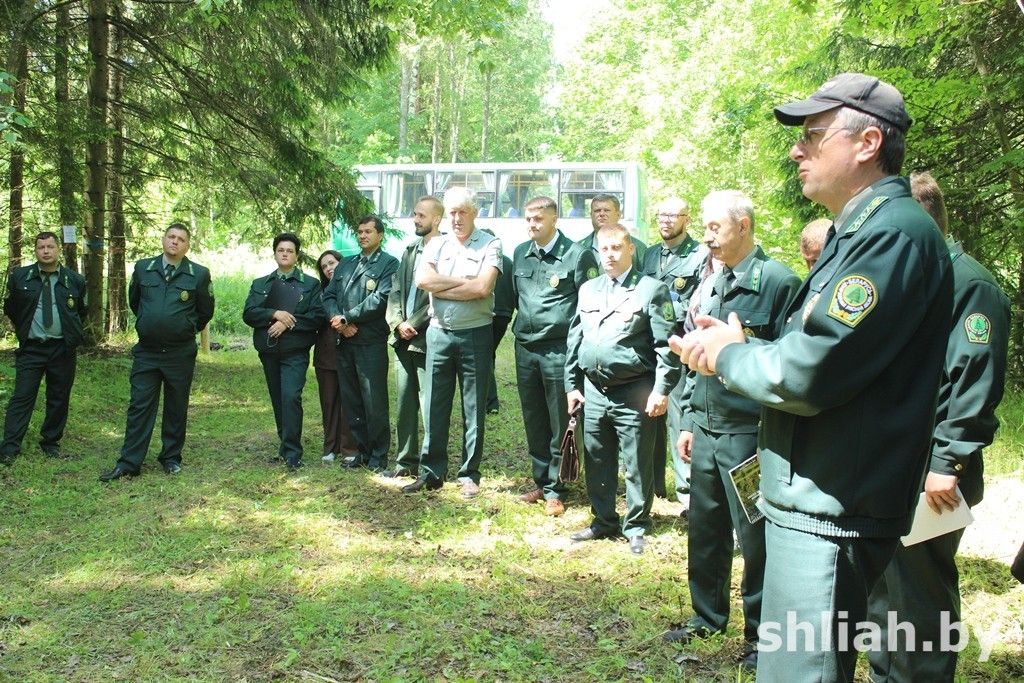 В Сморгонском опытном лесхозе прошел областной семинар