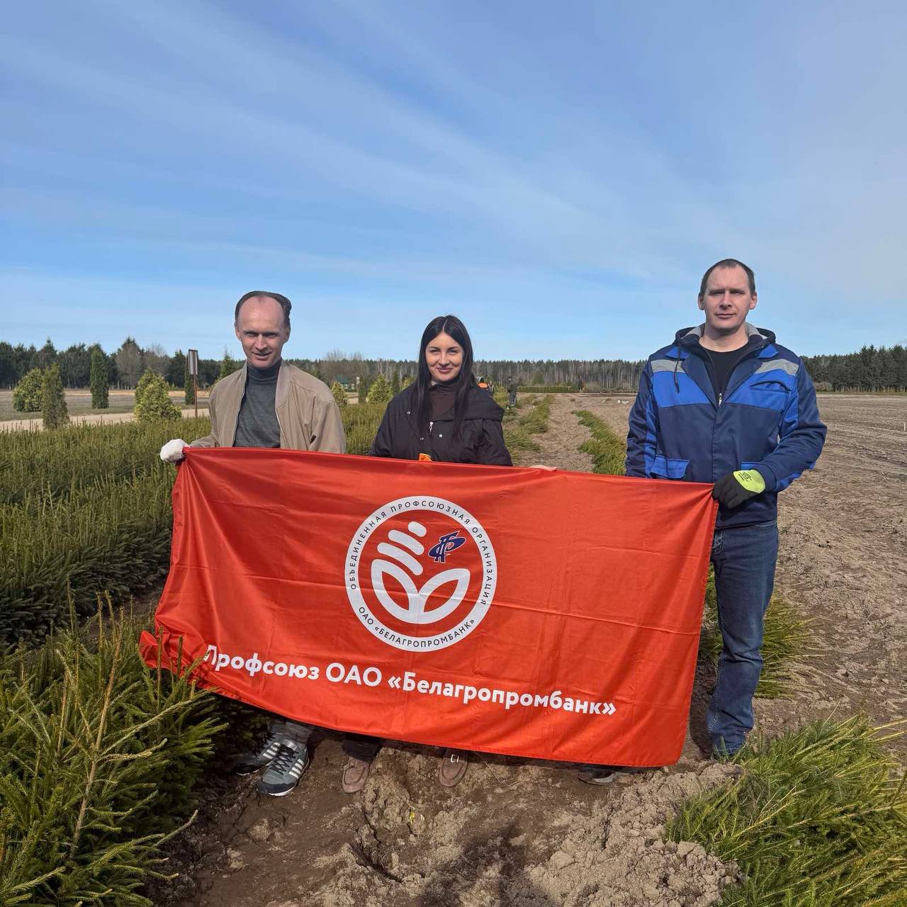 Специалисты ОАО «Белагропромбанк» активно участвовали в республиканской акции «Лес! Дабро! Парадак!». 