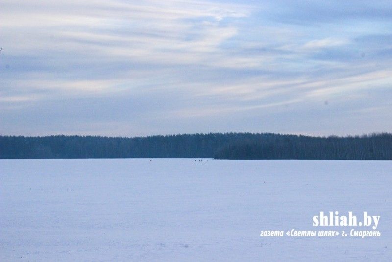 Вместе с егерем съездили к местам подкормки диких животных