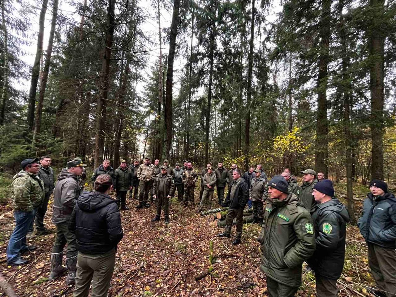 На особом контроле руководства области по-прежнему разработка усыхающих еловых насаждений.