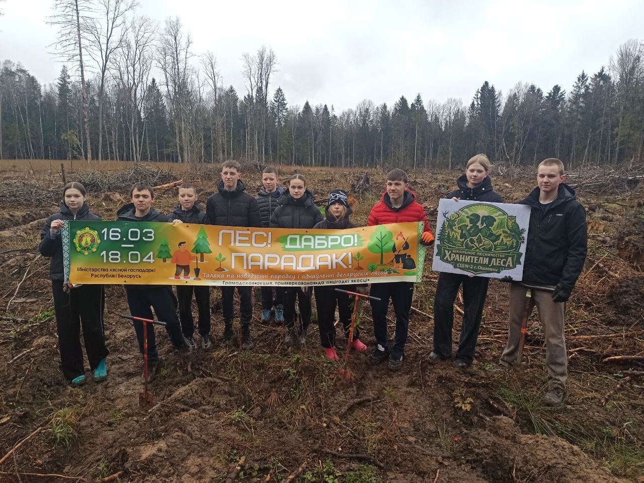 Участники школьного лесничества «Хранители леса» присоединились к акции «Лес! Дабро! Парадак!» и высадили молоденькие ёлочки и берёзки.