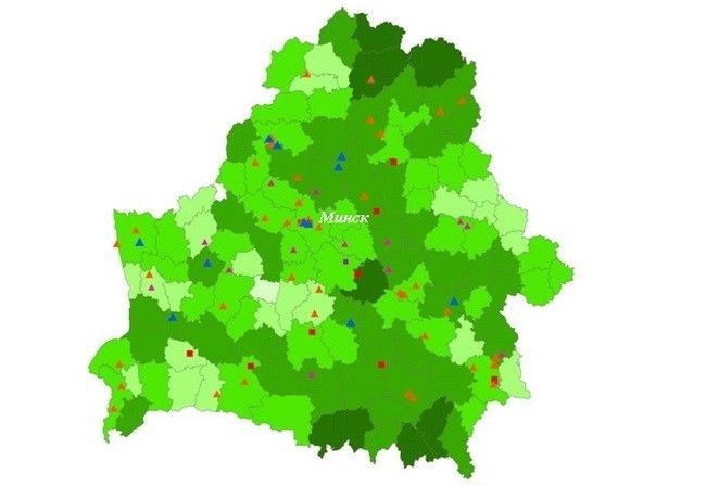 ЛЕСА БЕЛАРУСИ - В ИНФОГРАФИКЕ