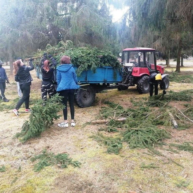 Студотряд на базисном лесном питомнике