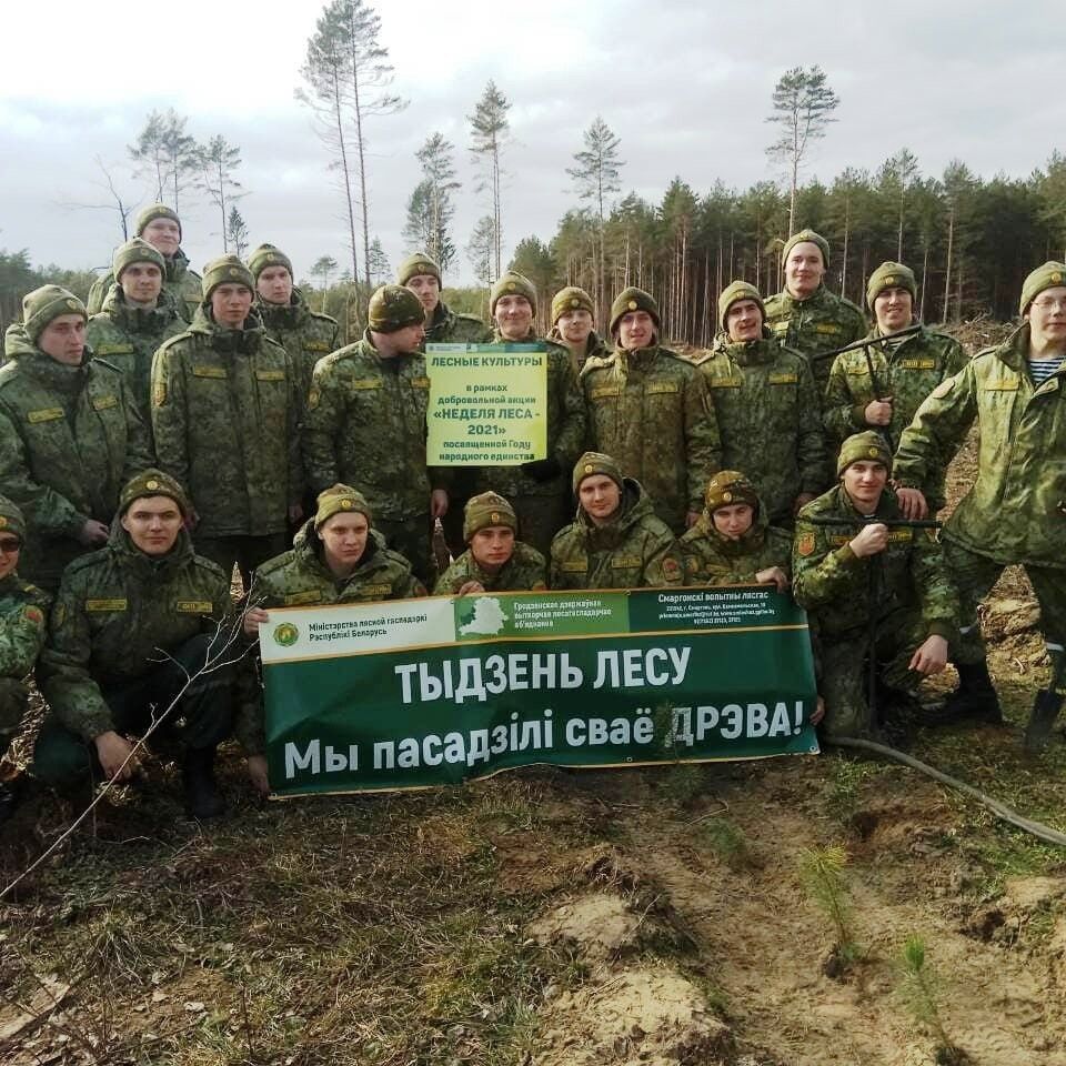 Началась акция 