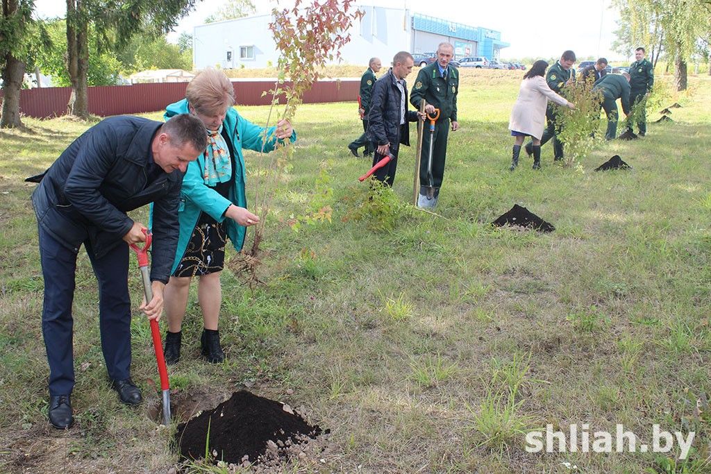 Аллея Единства ко Дню работников леса