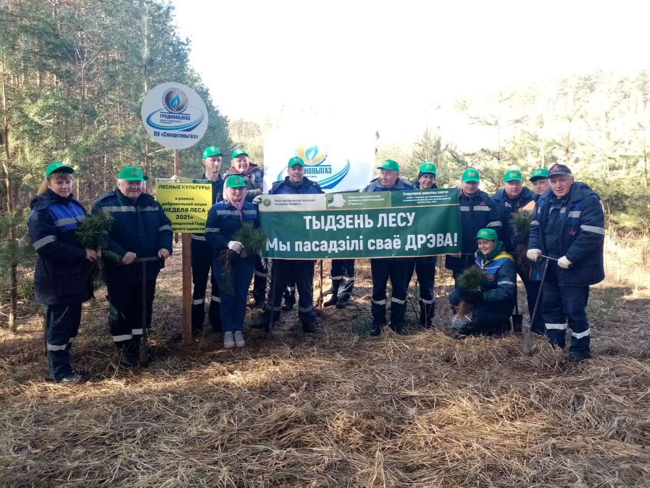 Неделя леса в Трилесинском лесничестве