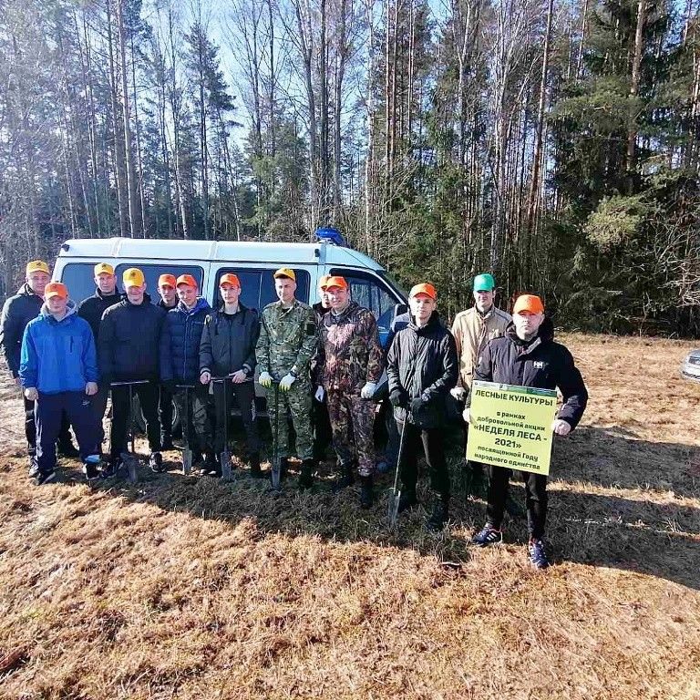 Сотрудники Ошмянского РОВД на Неделе леса