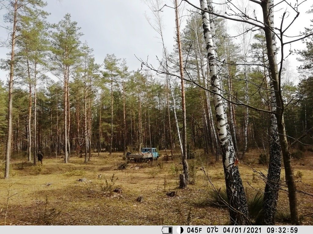 Работа фотоловушек