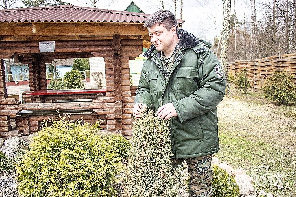 Игорь Смоленский. Успехи молодого лесничего