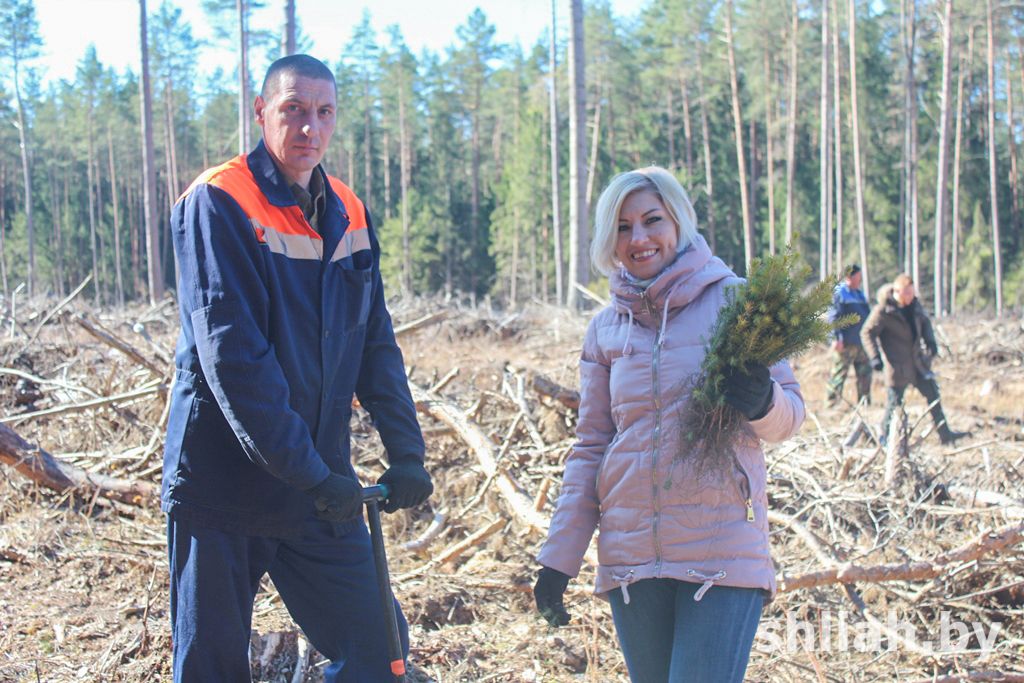 В «Неделе леса» впервые приняло участие предприятие «Сморгонские молочные продукты»