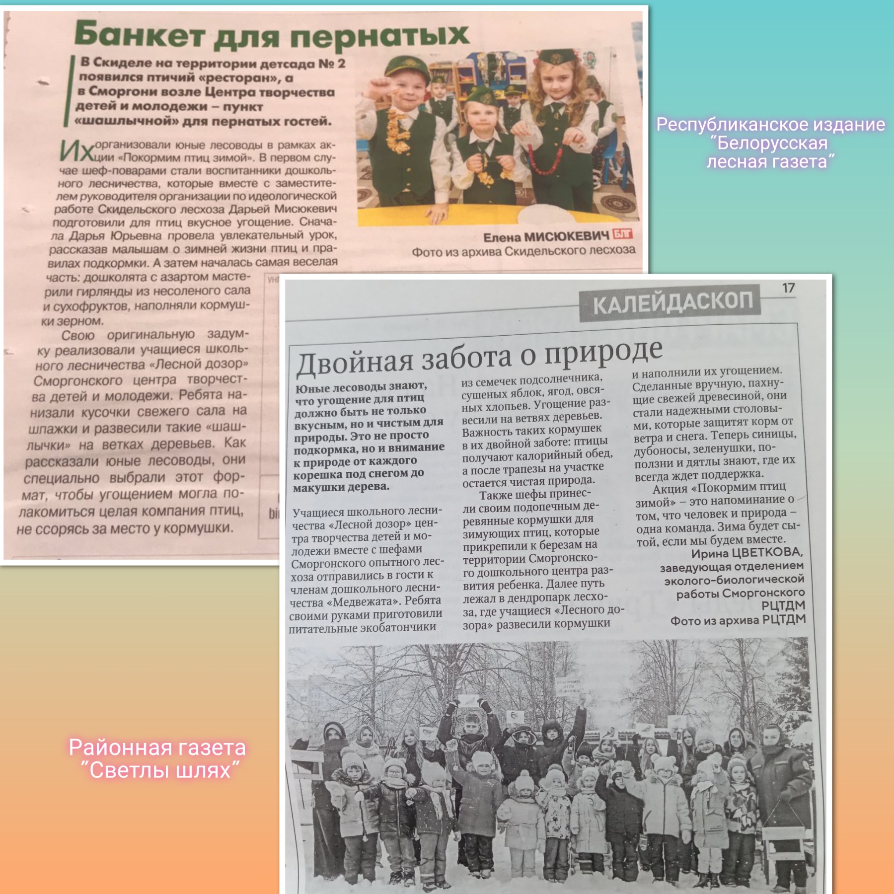 В фокусе — юные лесоводы Сморгонщины