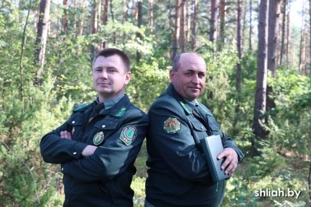 МАСТЕРА ЛЕСНОГО ДЕЛА