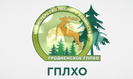 ГРАФИКИ ПРОВЕДЕНИЯ 