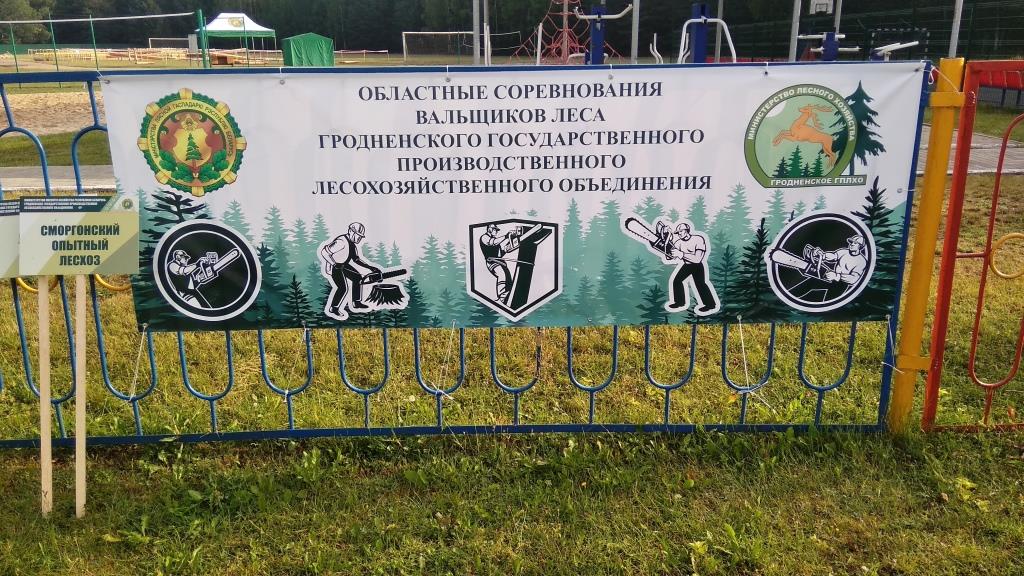 Областные соревнования вальщиков леса 