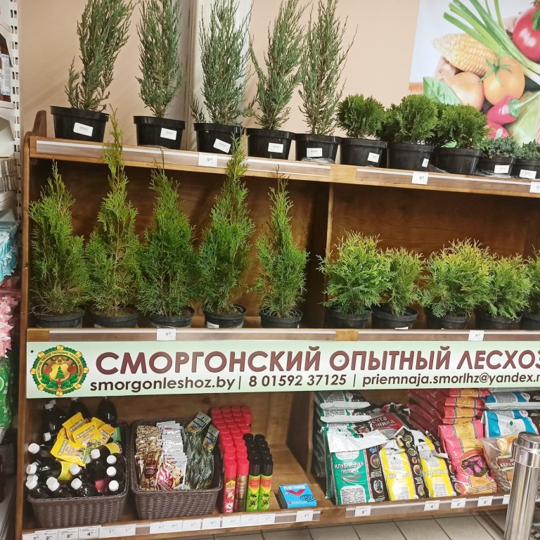 Продукция лесхоза в магазине 