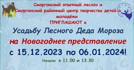 Приглашение на Новогоднее представление