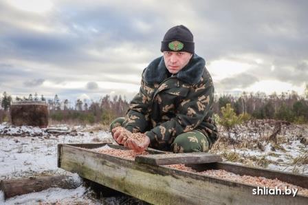 Смотрите, как в Сморгонском районе подкармливают диких животных