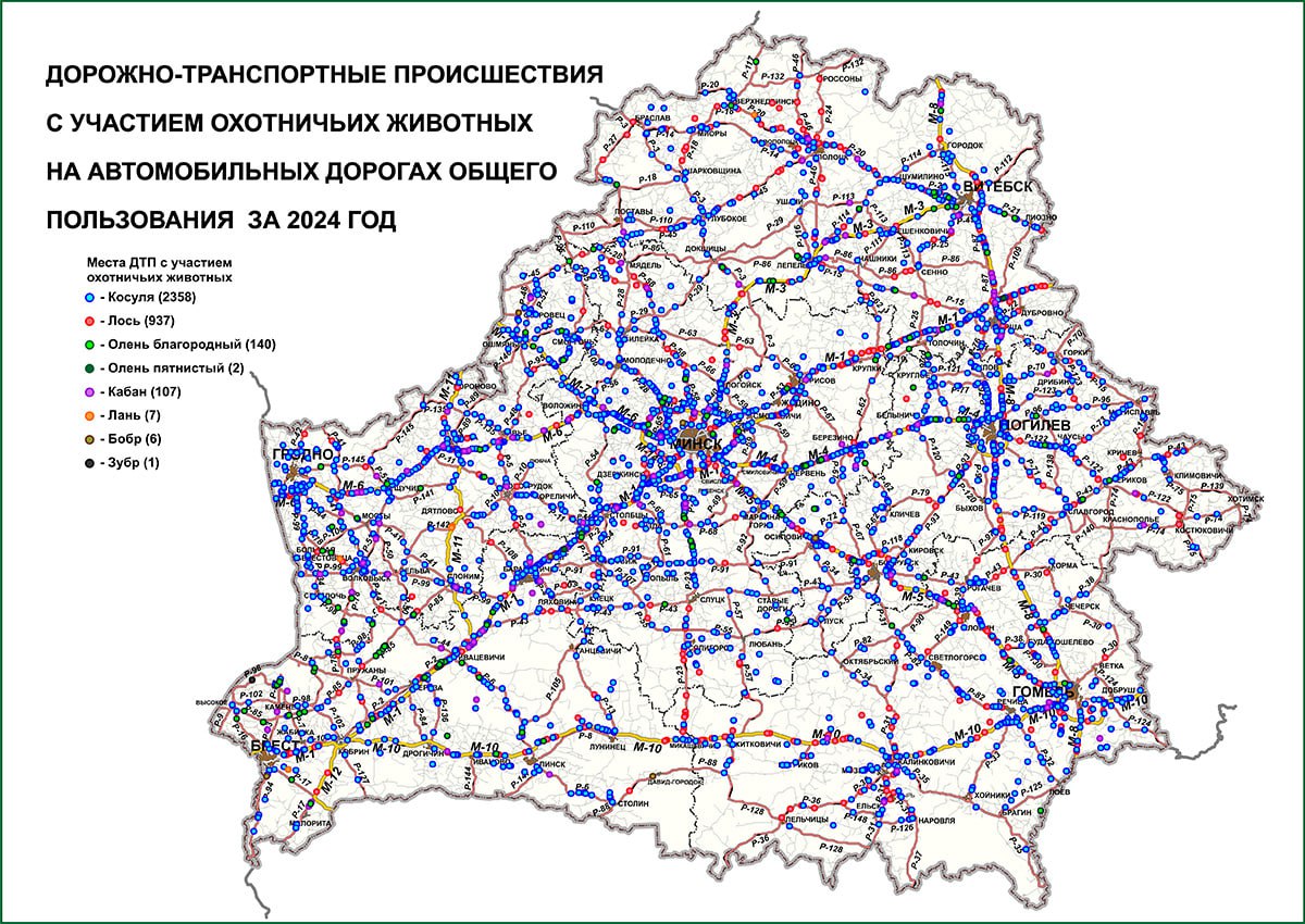 В Беларуси разработана карта-схема мест ДТП с участием диких животных. За основу были взяты данные за 2024-й год. Разработчиком карты выступил РУП «Белдорцентр».