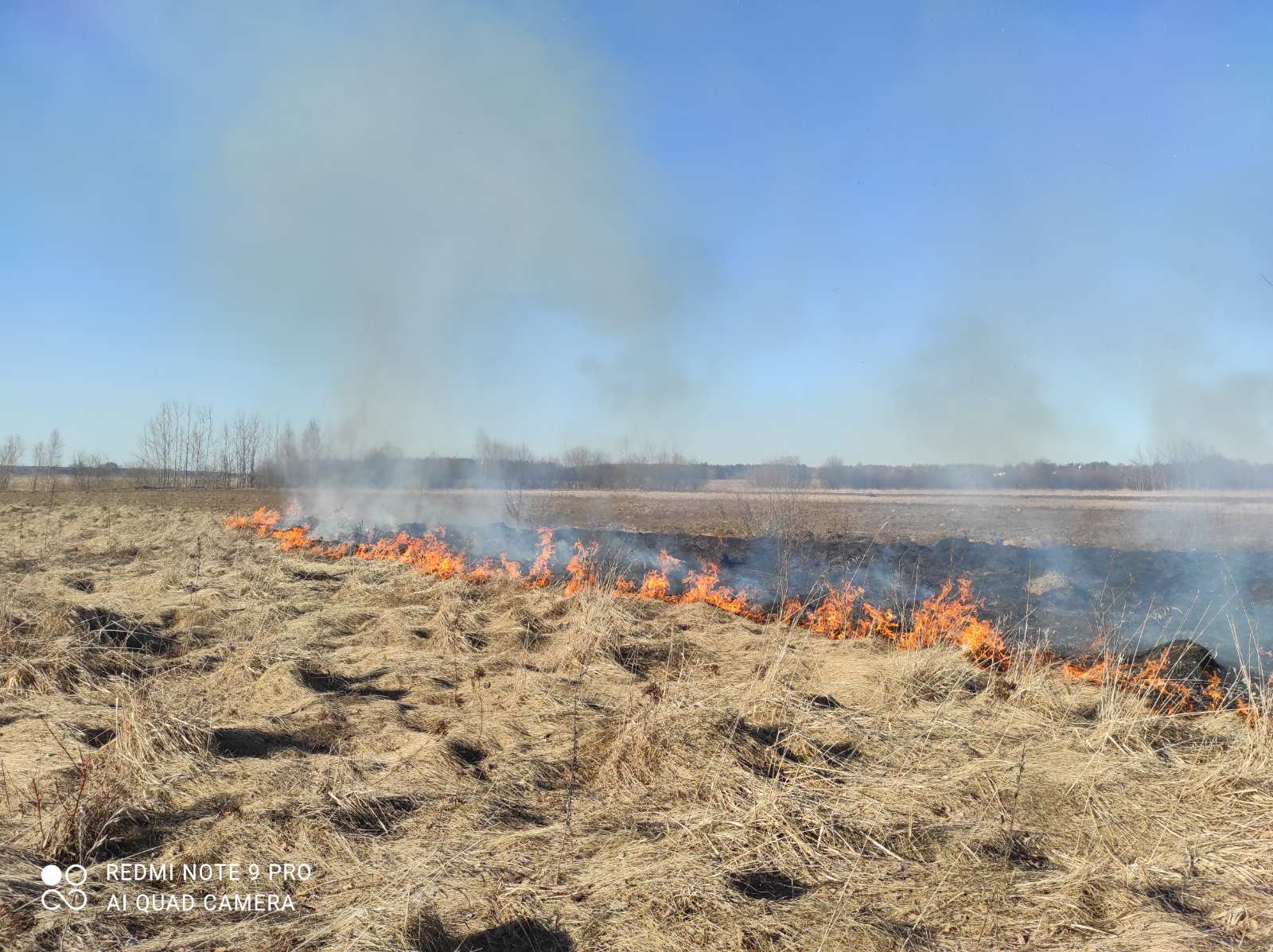 Весенние палы травы
