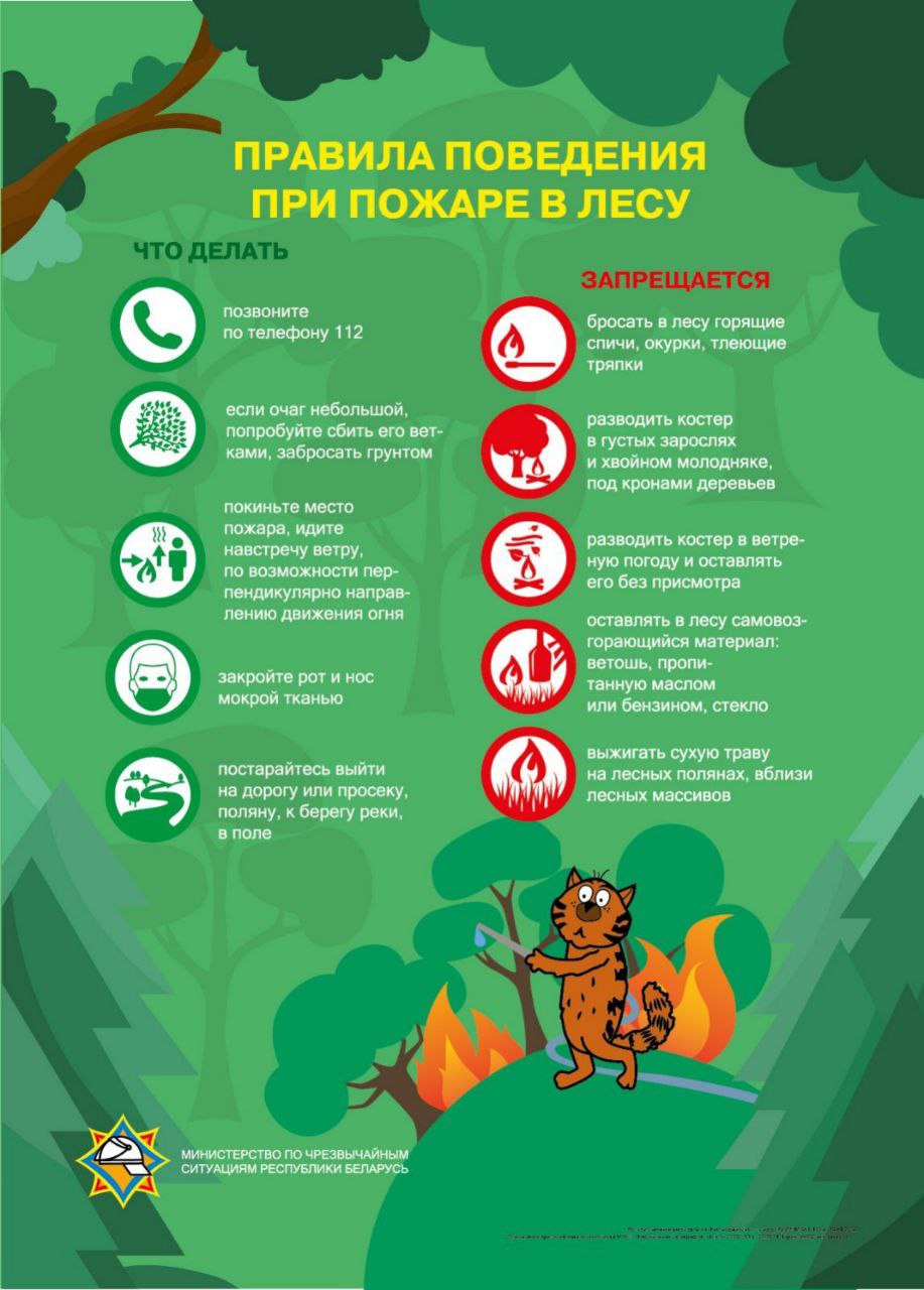 Из-за аномально сухой погоды в Гродненской области введено ОГРАНИЧЕНИЕ на посещение лесов