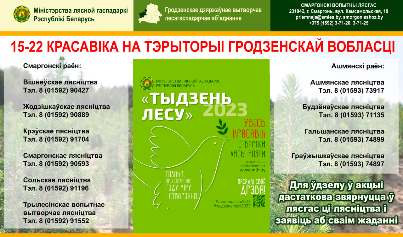 ТЫДЗЕНЬ ЛЕСУ-2023