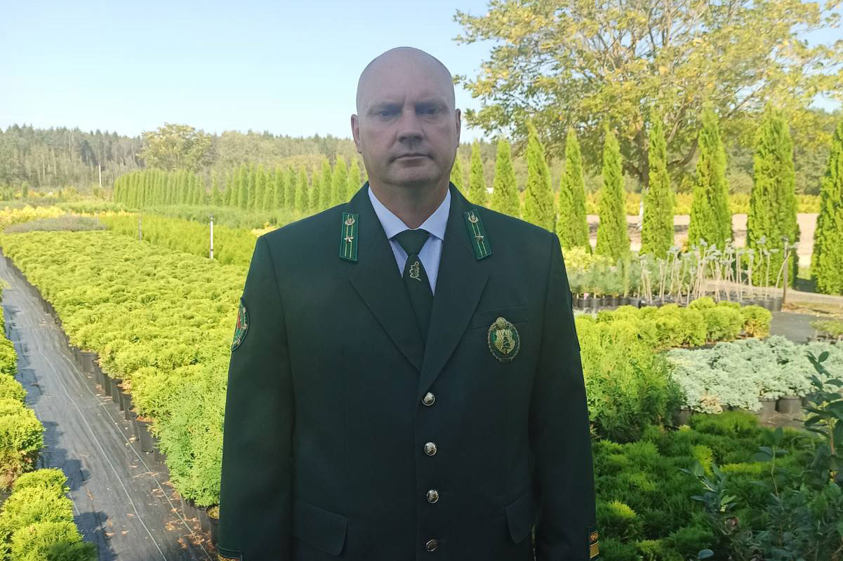 Новогоднее дерево: секреты выбора от специалиста