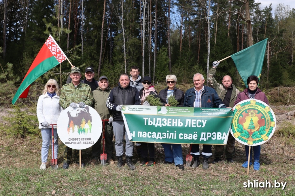 Депутаты присоединились к акции «Неделя леса»