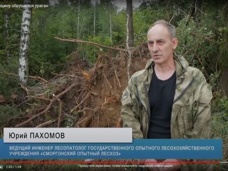 На Сморгонщину обрушился ураган (ВИДЕО)