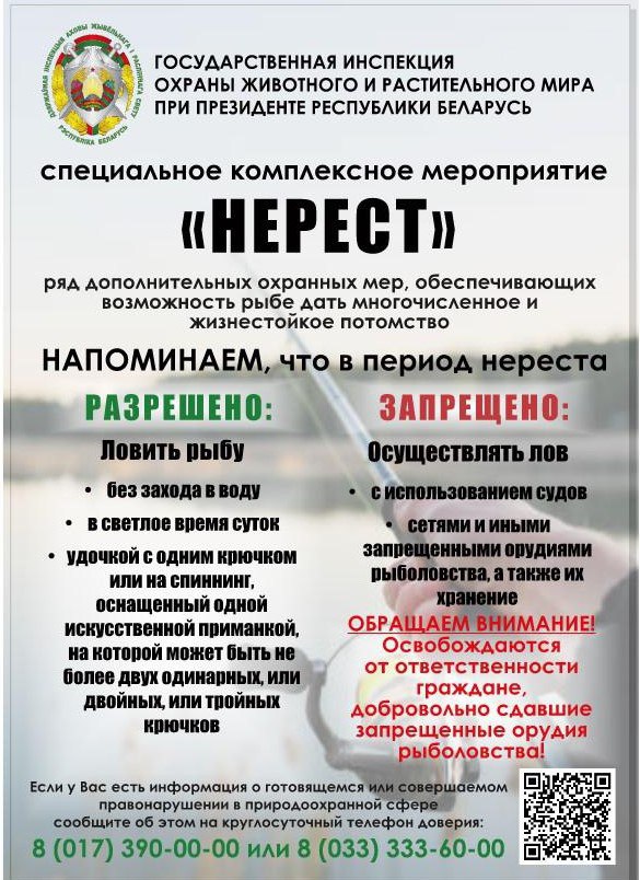 С 1 апреля по 30 мая в Гродненской, Минской и Могилёвской областях действует запрет на вылов всех видов рыбы.