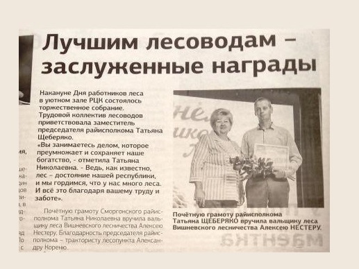 Лучшим лесоводам - заслуженные награды