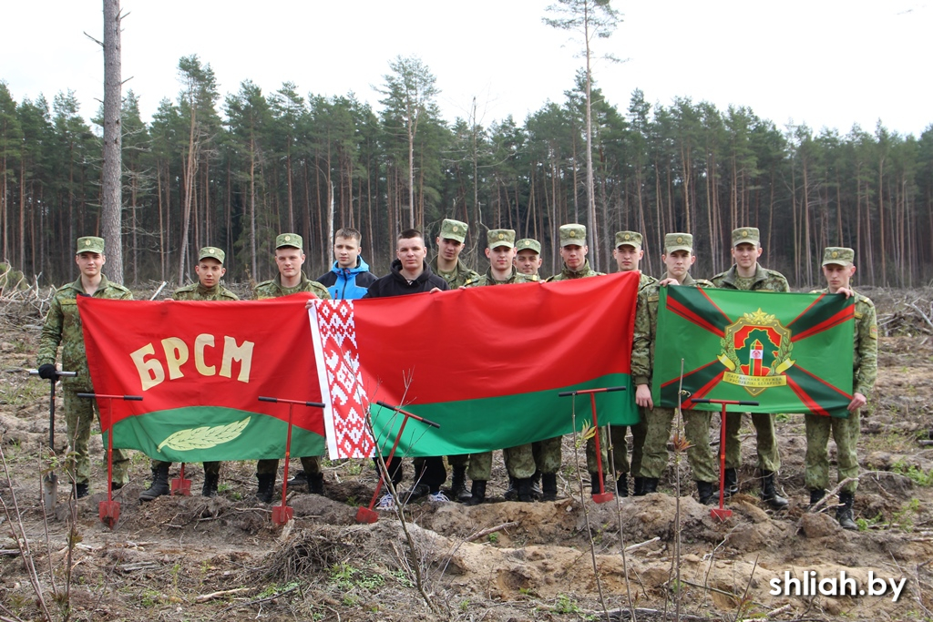 Члены БРСМ Сморгонской пограничной группы присоединились к акции «Неделя леса»