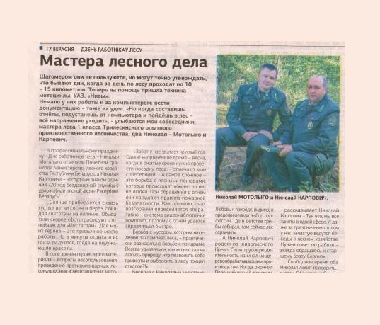 Мастера лесного дела