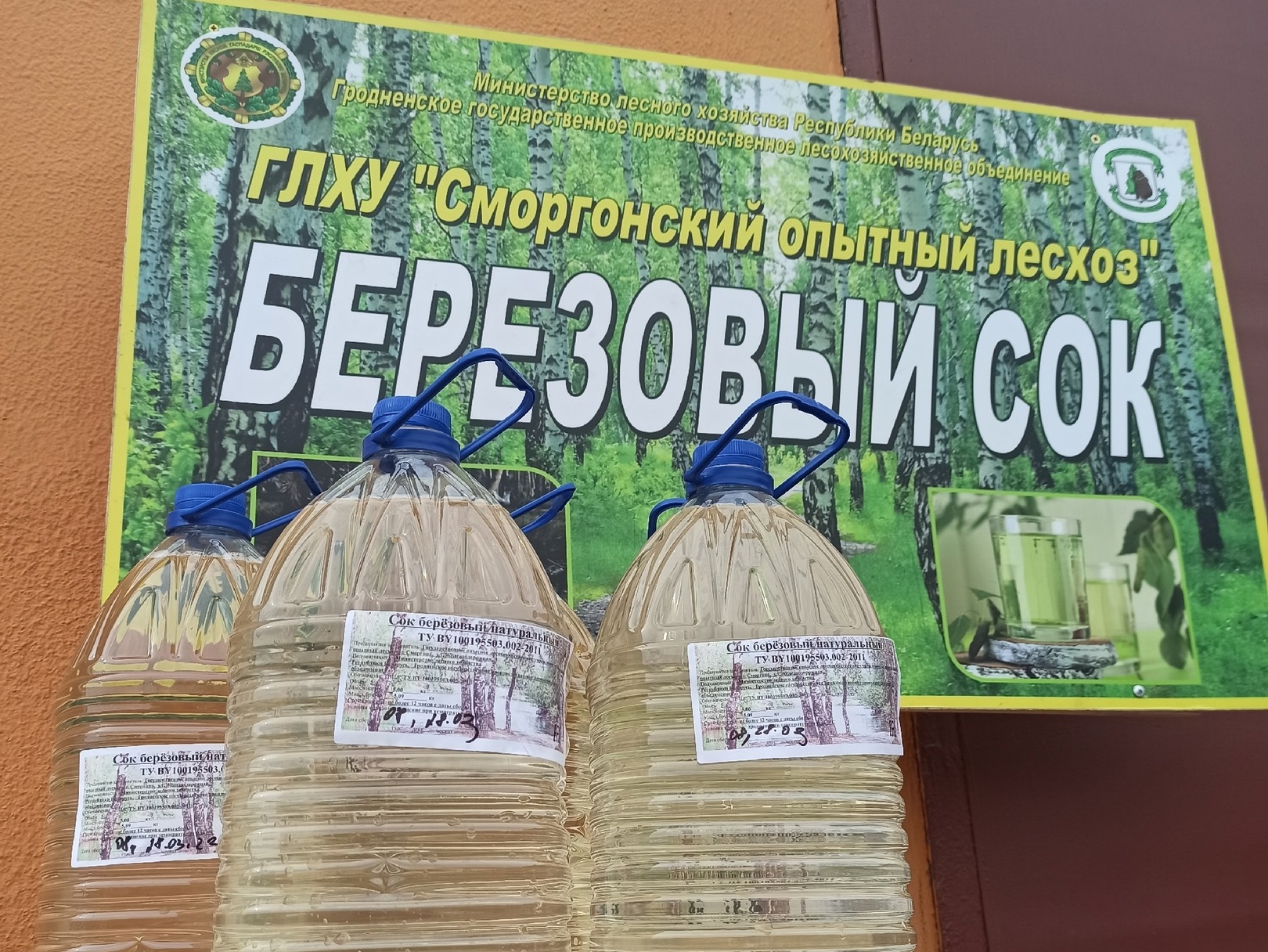 Приглашаем за берёзовым соком!
