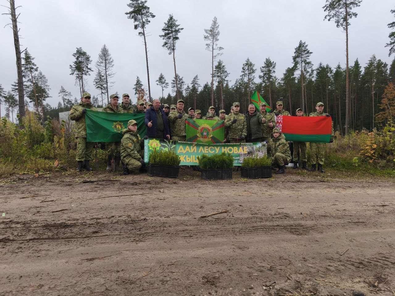 Сегодня военнослужащие Сморгонской пограничной службы высаживали молодые деревья сосны и ели, в Сморгонском лесничестве были дополнены лесные культуры более 5000 штук саженцев на площади 4,8 га.