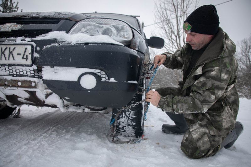 «Зимний рацион» для лося и косули: посмотрели, как в Сморгонском районе спасают животных от голода