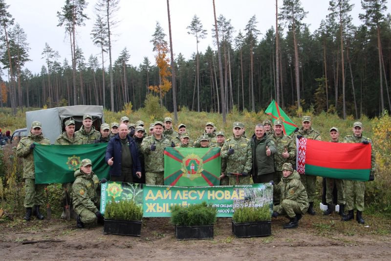 Лесам Беларуси – новая жизнь: пограничники Сморгони поддержали